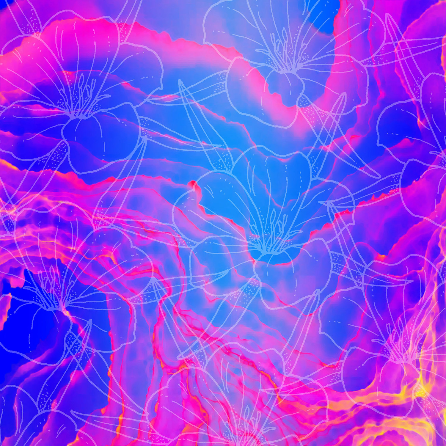lavatropical JD