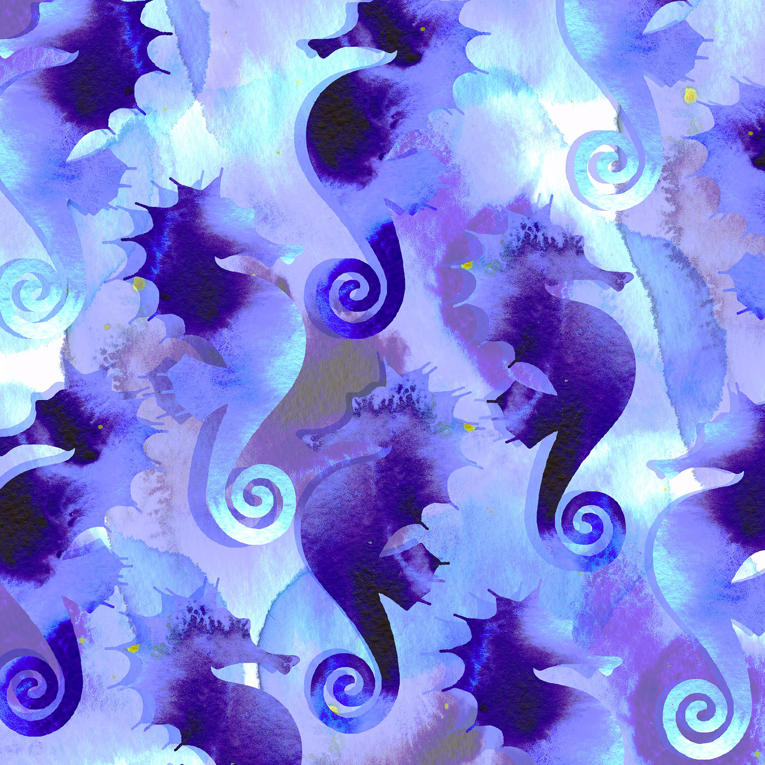 seaponies jd